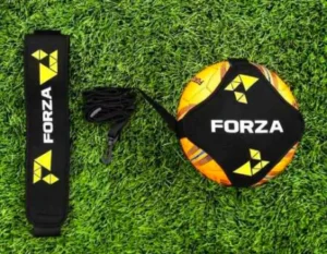 FORTRESS Cricket Ball Carry Bag