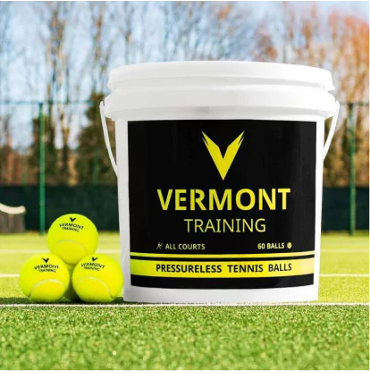 Vermont Pressureless Cricket Training Balls